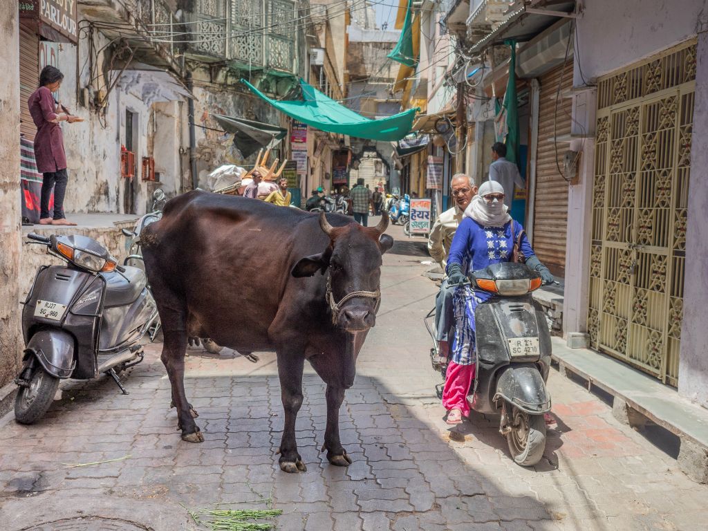 Udaipur