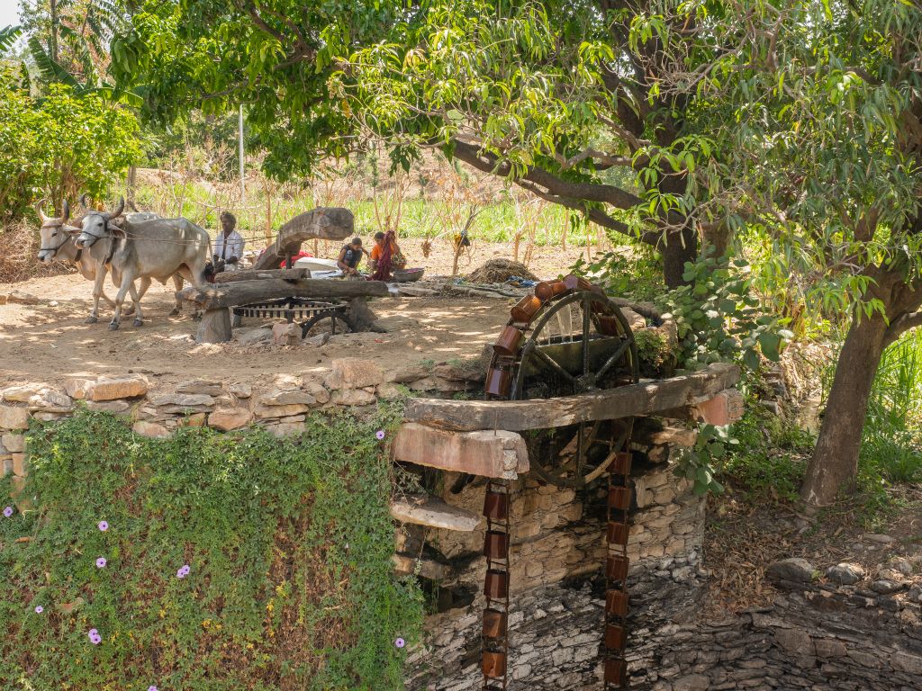 Tra Udaipur e Kumbalgarh