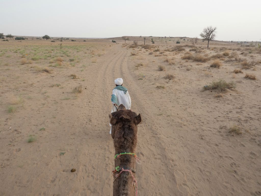 Vicino a Bikaner