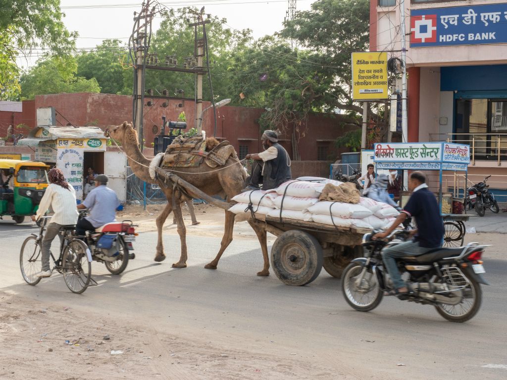 Bikaner