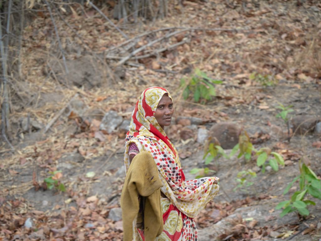 Bandhavgarh National Park