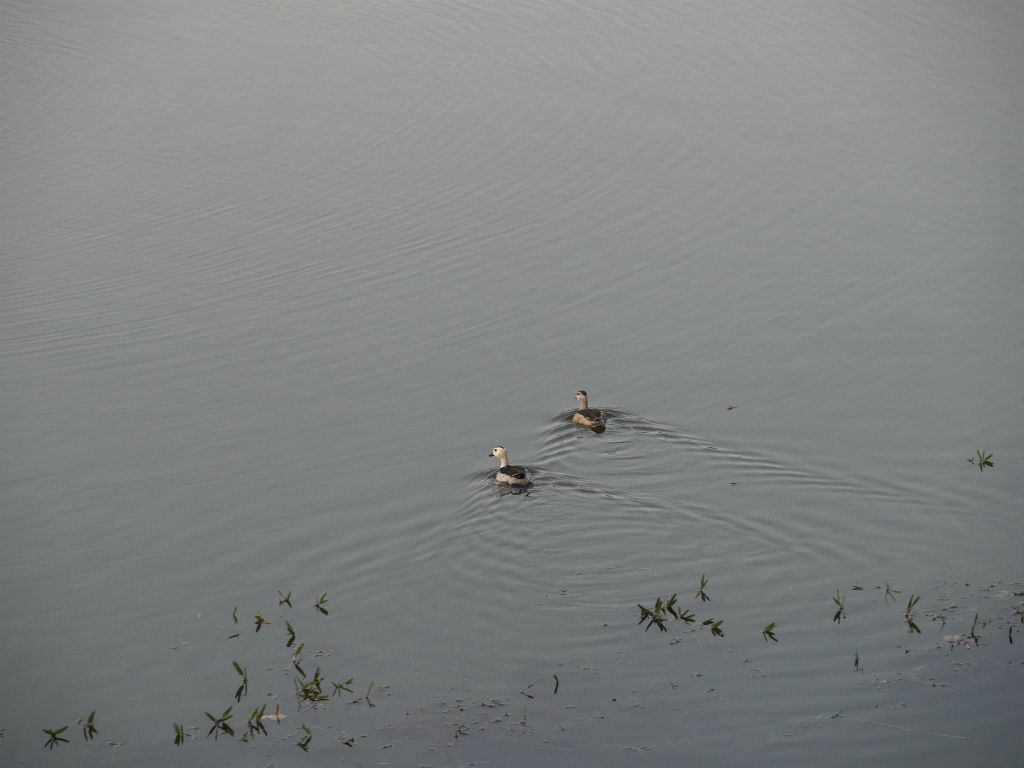 Kanha National Park