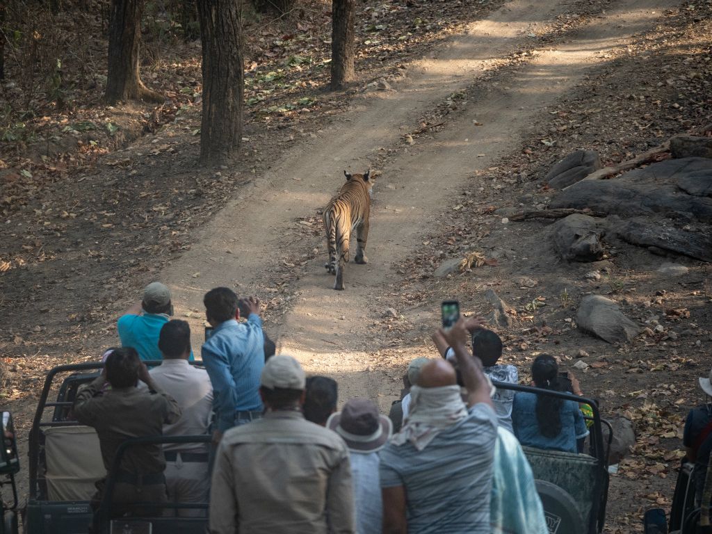 Kanha National Park